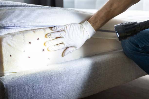 Best Pest Removal Services  in West Milwaukee, WI
