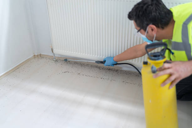 Pest Control for Restaurants in West Milwaukee, WI