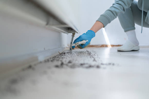 Flea Control Services in West Milwaukee, WI