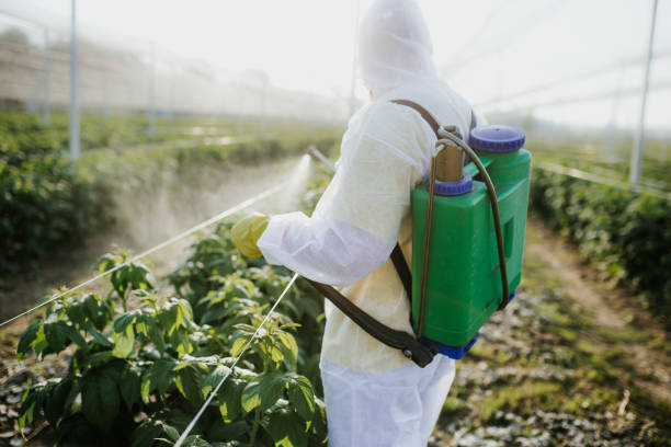 Best Mosquito Control Services  in West Milwaukee, WI